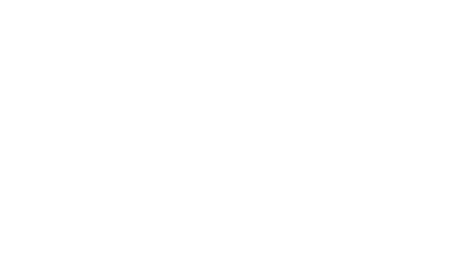 Cobb International Film Festival Best Young Actor