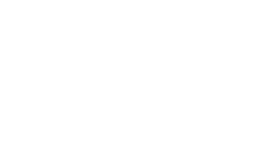 Cobb International Film Festival Selection